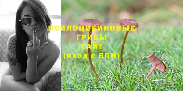 прущие крисы Дмитров