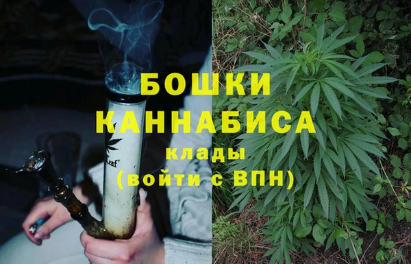 прущие крисы Дмитров