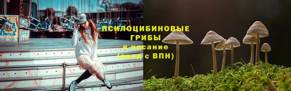 мяу мяу мука Дмитровск