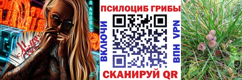 Галлюциногенные грибы GOLDEN TEACHER  Дятьково 