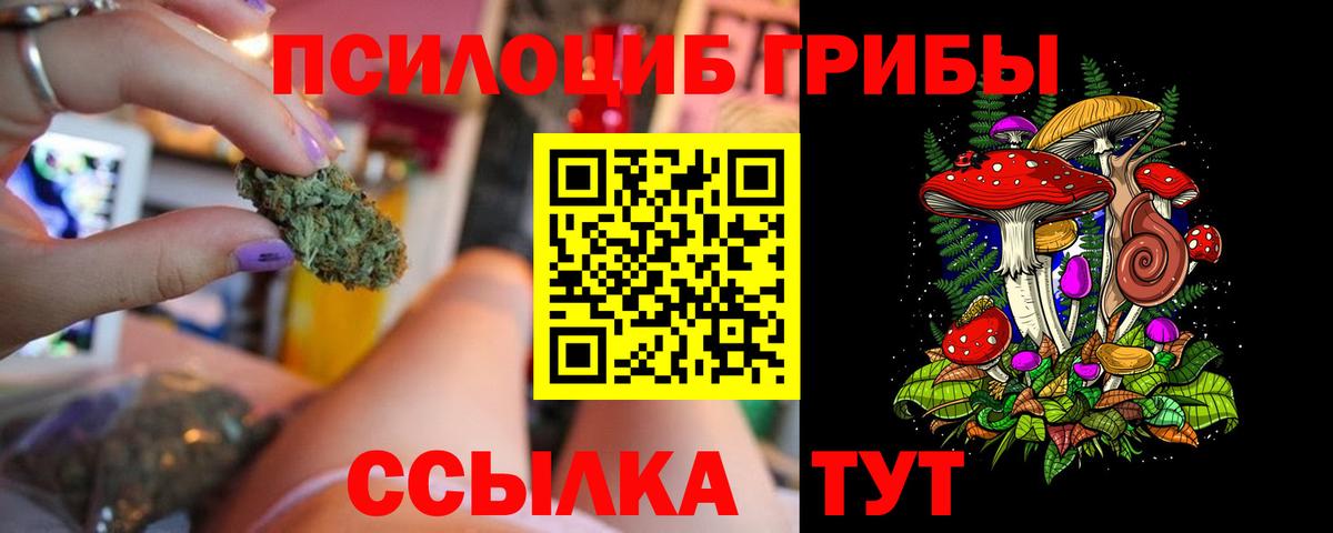 Дятьково  Псилоцибиновые грибы MAGIC MUSHROOMS  где купить наркоту  Вход с VPN 