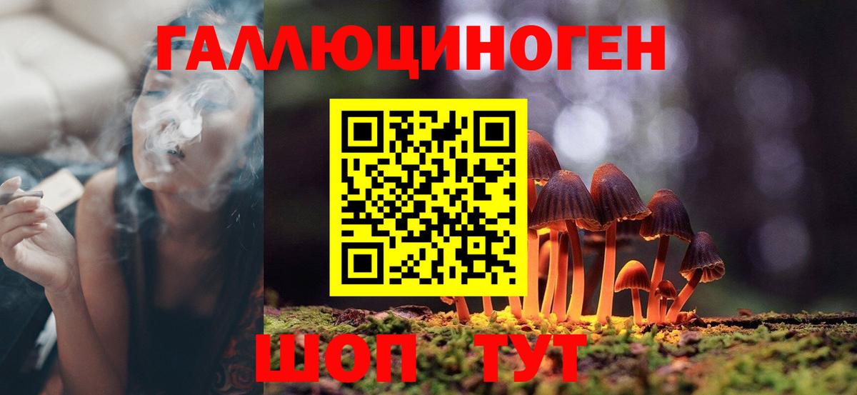Галлюциногенные грибы мицелий Дятьково